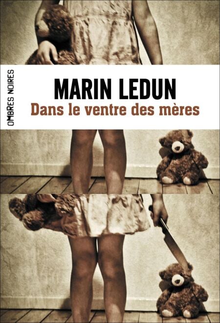 media/ebook/4234839_image_type_product_shot_VIVLIO_1_FR