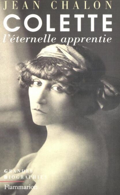 media/ebook/4234985_image_type_product_shot_VIVLIO_1_FR