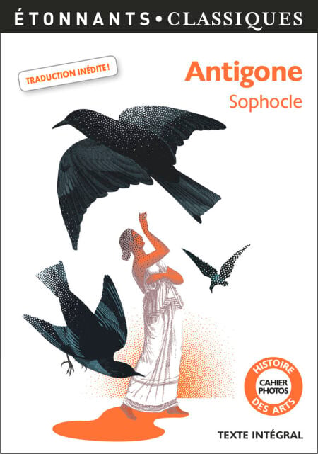 media/ebook/4236941_image_type_product_shot_VIVLIO_1_FR