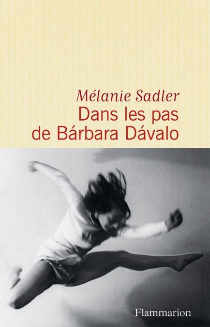 media/ebook/4236995_image_type_product_shot_VIVLIO_1_FR_83bcc