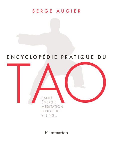 media/ebook/4237091_image_type_product_shot_VIVLIO_1_FR