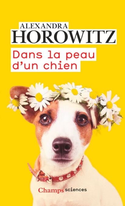 media/ebook/4237293_image_type_product_shot_VIVLIO_1_FR