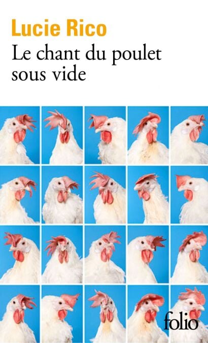 media/ebook/4250685_image_type_product_shot_VIVLIO_1_FR