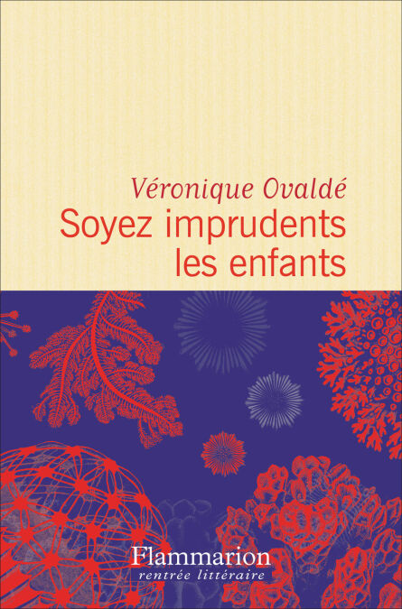 media/ebook/4251225_image_type_product_shot_VIVLIO_1_FR_814d3