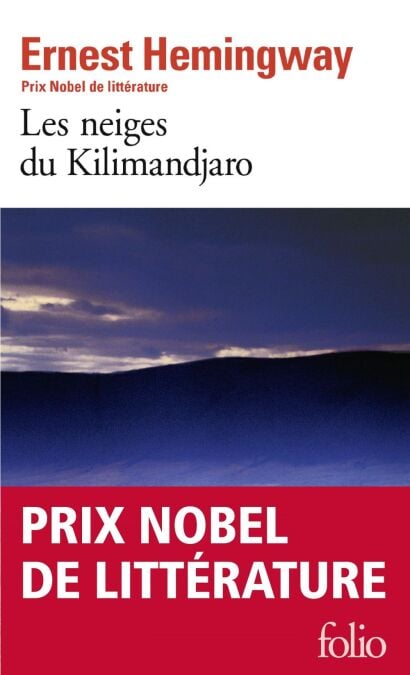 media/ebook/4255758_image_type_product_shot_VIVLIO_1_FR