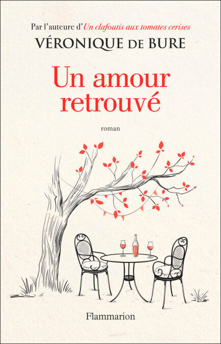media/ebook/4260680_image_type_product_shot_VIVLIO_1_FR_e51a1