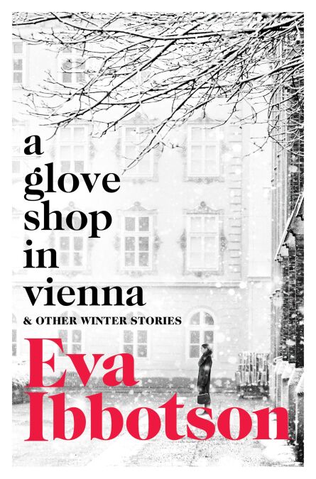media/ebook/4324851_image_type_product_shot_VIVLIO_1_FR