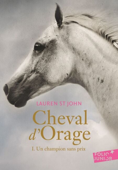 media/ebook/4362672_image_type_product_shot_VIVLIO_1_FR