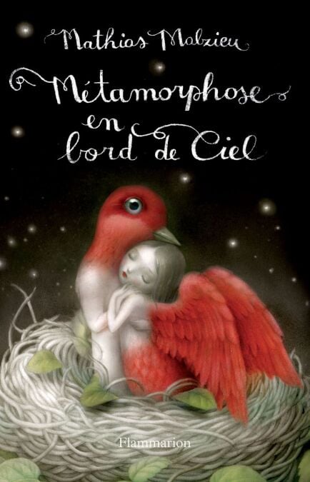media/ebook/4364263_image_type_product_shot_VIVLIO_1_FR