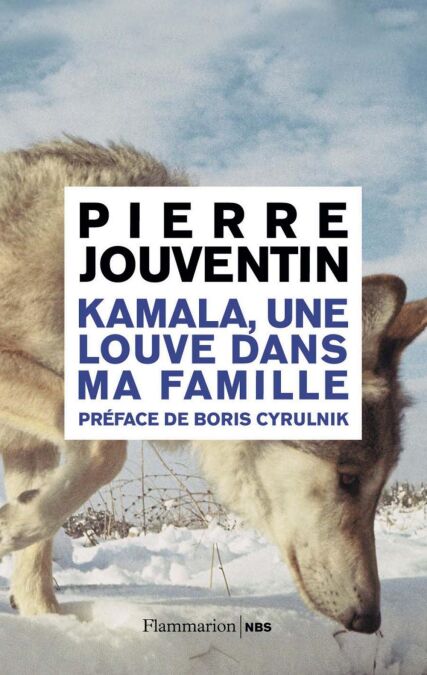 media/ebook/4364389_image_type_product_shot_VIVLIO_1_FR