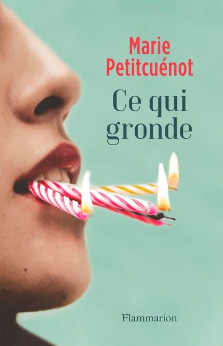 media/ebook/4366099_image_type_product_shot_VIVLIO_1_FR