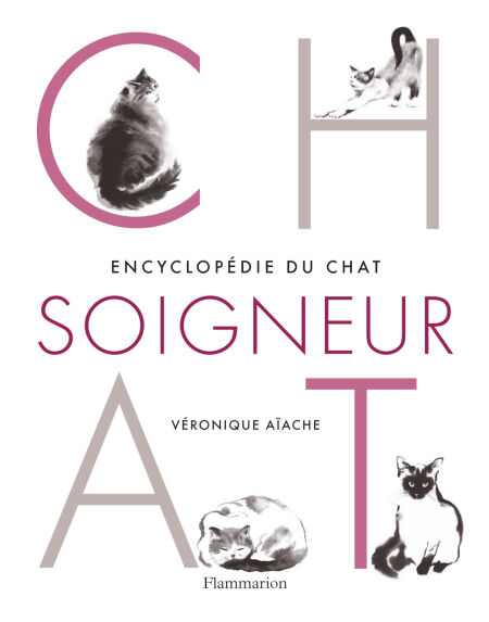 media/ebook/4366153_image_type_product_shot_VIVLIO_1_FR