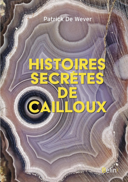 media/ebook/4404096_image_type_product_shot_VIVLIO_1_FR