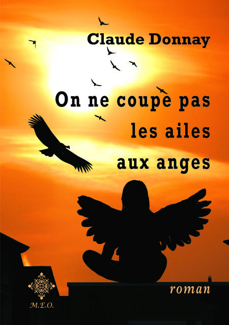 media/ebook/4422421_image_type_product_shot_VIVLIO_1_FR_20aec