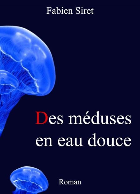 media/ebook/4456596_image_type_product_shot_VIVLIO_1_FR