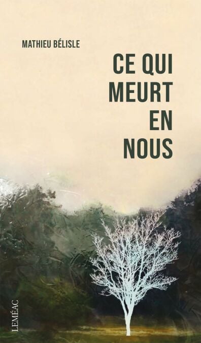 media/ebook/4601106_image_type_product_shot_VIVLIO_1_FR_8ff04