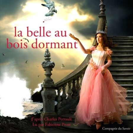 media/ebook/4621880_image_type_product_shot_VIVLIO_1_FR_e5c65
