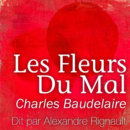 media/ebook/4636789_image_type_product_shot_VIVLIO_1_FR_9fd19