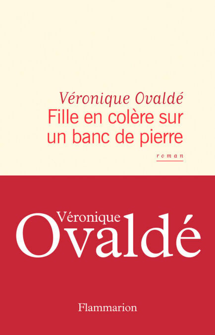 media/ebook/4969509_image_type_product_shot_VIVLIO_1_FR