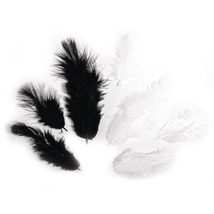 media/mkp/0e2a1ef25f1346639a85f59d220380cb