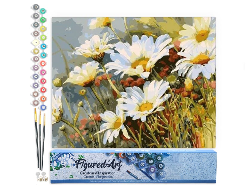 Peinture par Numéro Figured'Art - Champ de Marguerites - Kit de Loisir Créatif DIY Numéro d'Art Complet - 40x50cm sans châssis en bois
