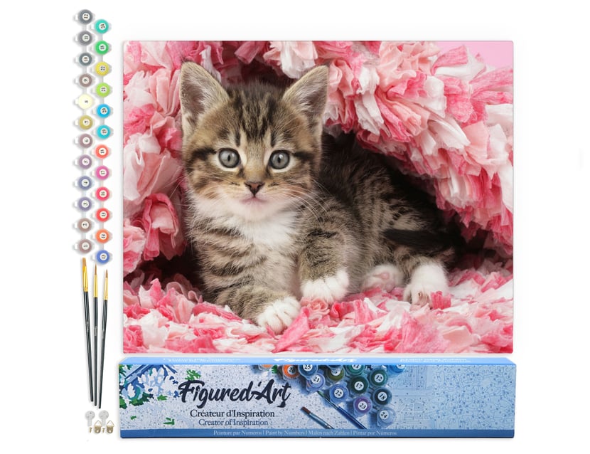 Peinture par Numéro Figured'Art - Chaton enrobé - Kit de Loisir Créatif DIY Numéro d'Art Complet - 40x50cm sans châssis en bois