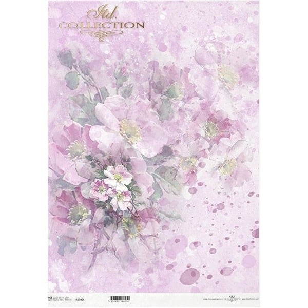 media/mkp/1d87bc7353a24fa2af60ac5b8481c9d3