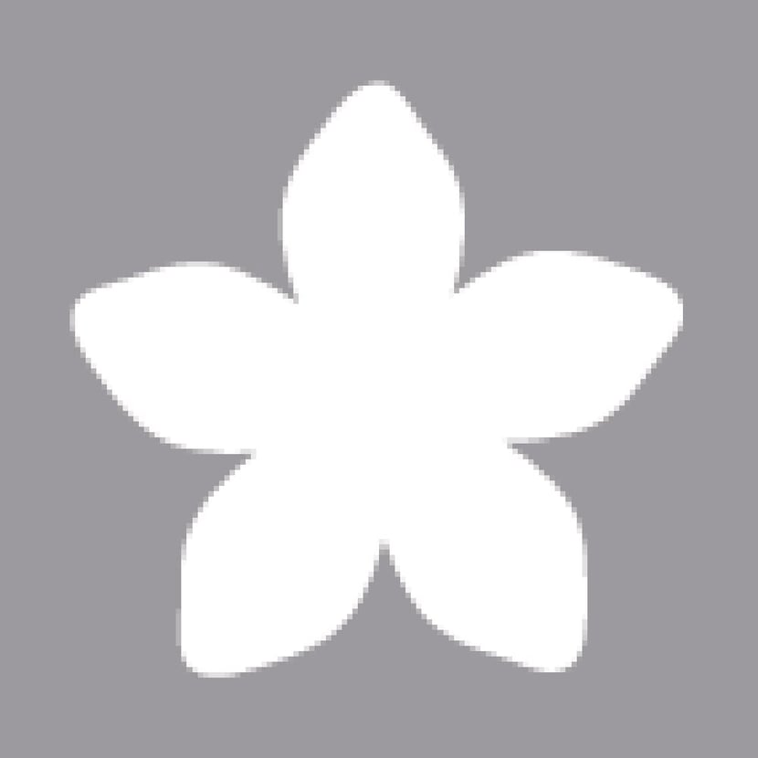 media/mkp/1db00baf4c364d9ea5e53c2409214b57