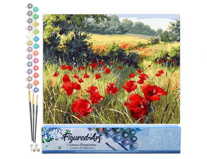 Peinture par Numéro Figured'Art - Coquelicots champêtres - Kit de Loisir Créatif DIY Numéro d'Art Complet - 40x50cm sans châssis en bois