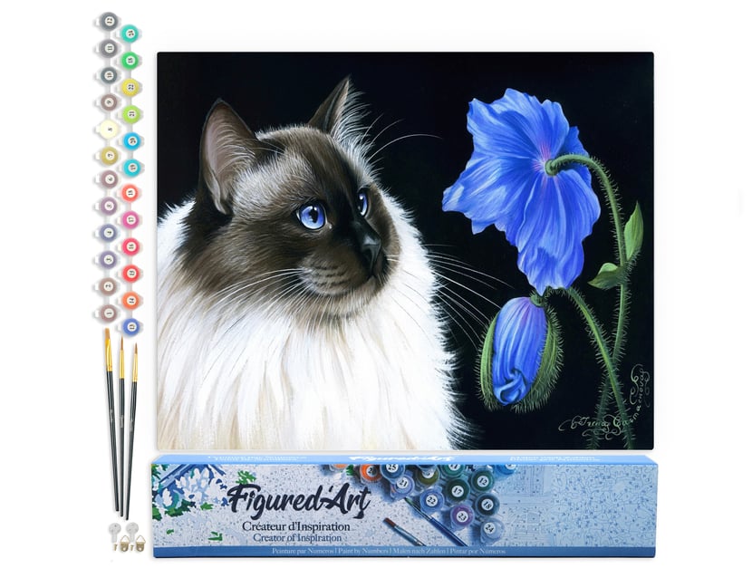 Peinture par Numéro Figured'Art - Face à face floral - Kit de Loisir Créatif DIY Numéro d'Art Complet - 40x50cm sans châssis en bois