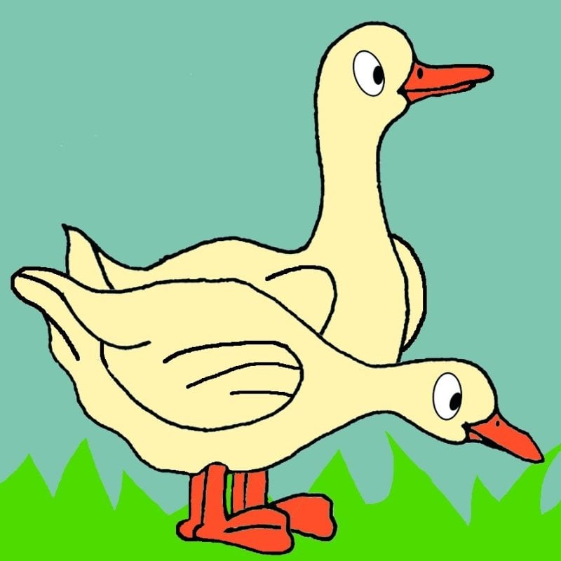 media/mkp/229b3412536047a8884f1aefdbacf66b