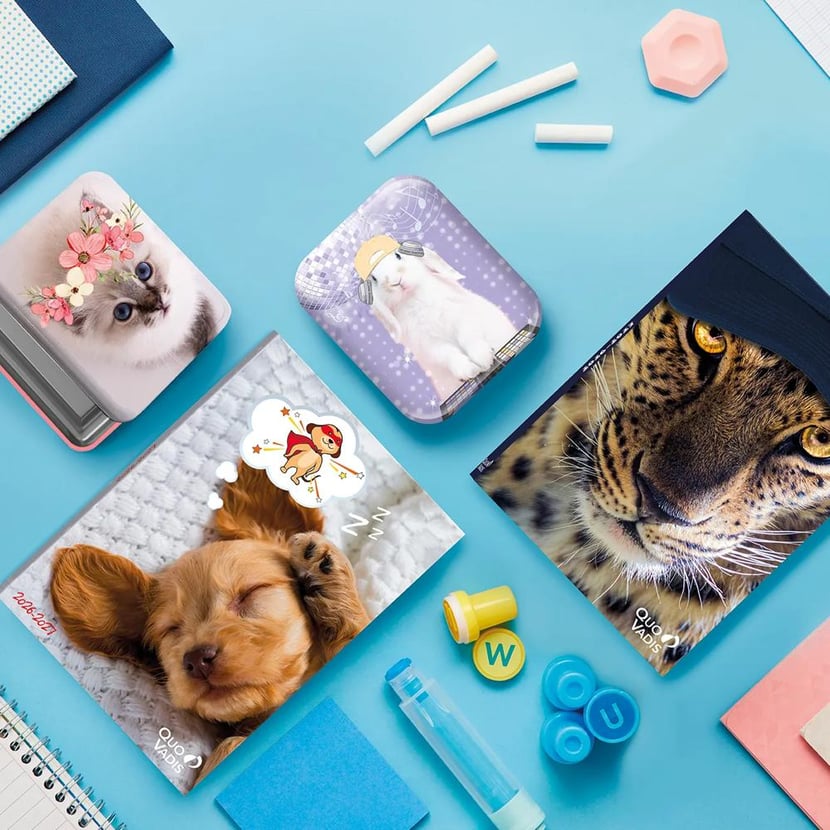 media/mkp/25324000NQ_2.jpg