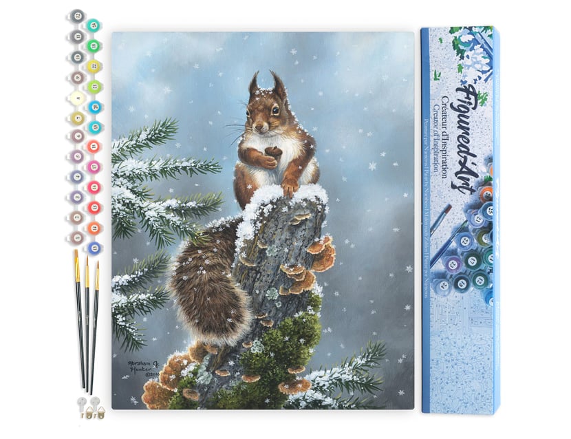 Peinture par Numéro Figured'Art - Ecureuil perché - Kit de Loisir Créatif DIY Numéro d'Art Complet - 40x50cm sans châssis en bois
