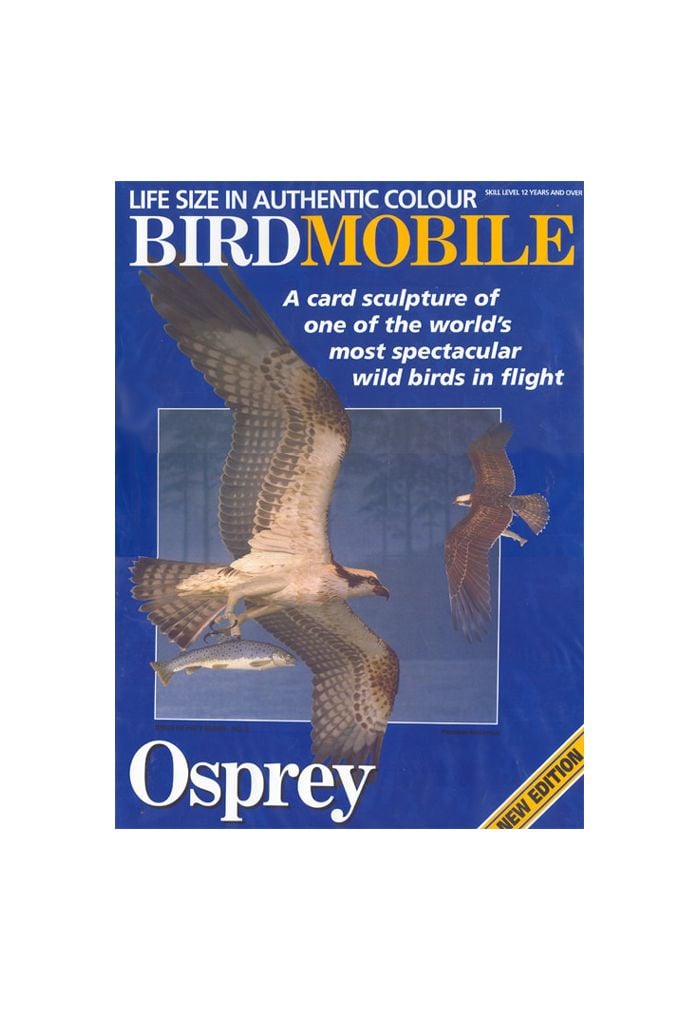 Birdmobile Balbuzard pêcheur