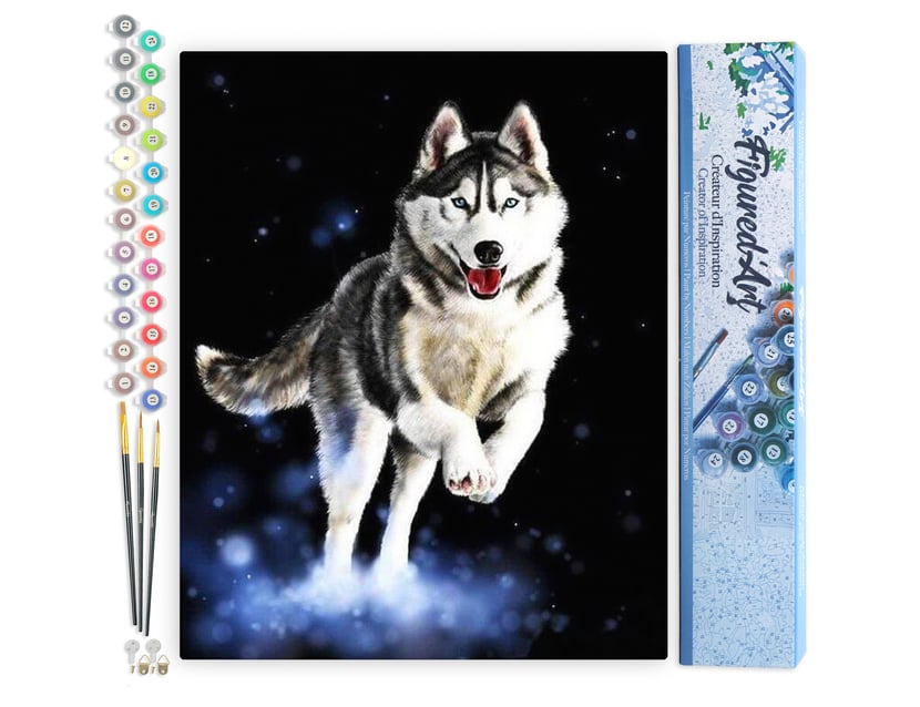 Peinture par Numéro Figured'Art - Husky - Kit de Loisir Créatif DIY Numéro d'Art Complet - 40x50cm sans châssis en bois