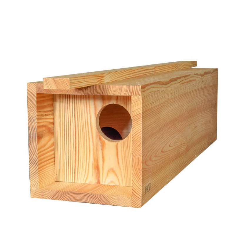 media/mkp/2e4581a6b8a143debfde184d038fece9