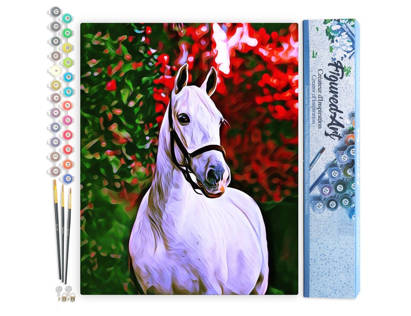 Peinture par Numéro Figured'Art - Cheval et fond coloré - Kit de Loisir Créatif DIY Numéro d'Art Complet - 40x50cm sans châssis en bois