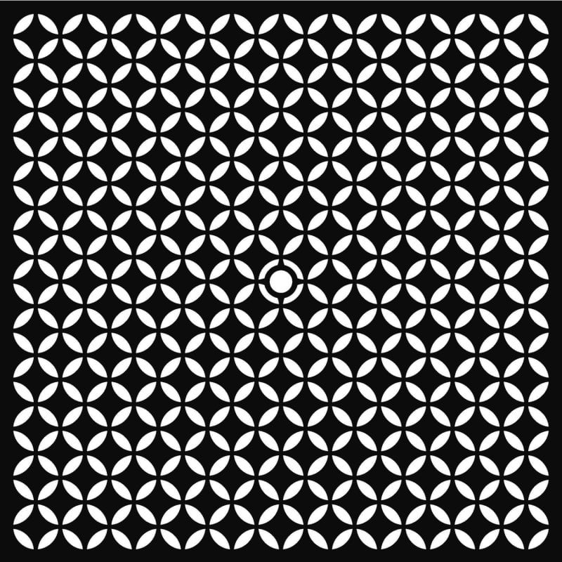 media/mkp/32f00426bbb644d698a72fbeb34b6770