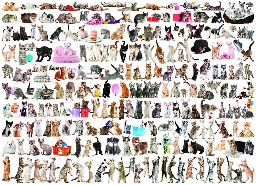 media/mkp/34ba045d74e443f3b391cd8f63ed2ce2