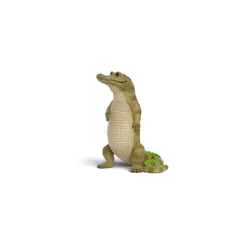 media/mkp/3a04bf9cfd4e49328340710869c8fa4b