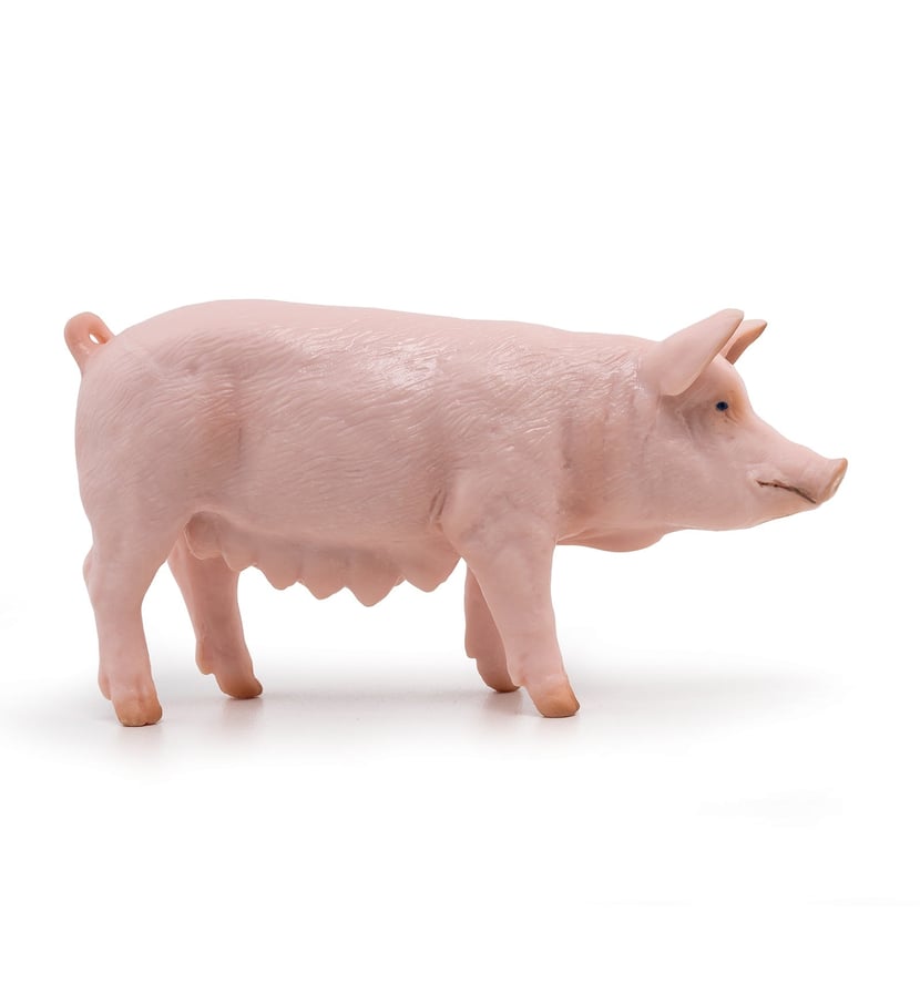 media/mkp/3fd95d313795470a97036993f9bfdf8c