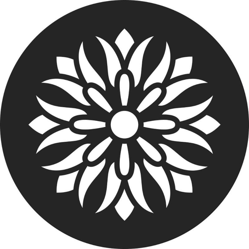 media/mkp/40035b0b01e44c43b9a5c430d62f87fd