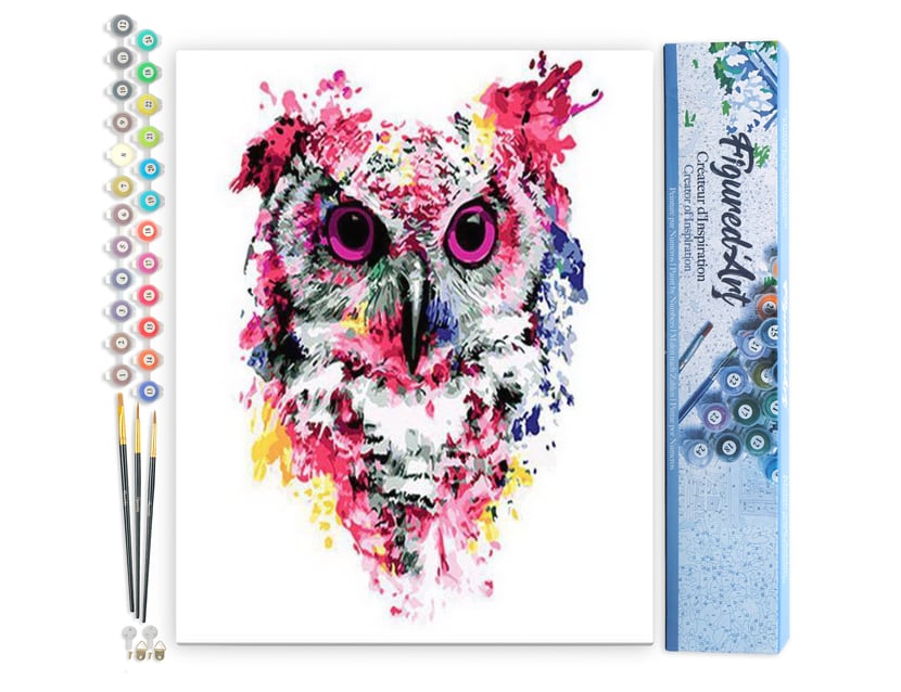 Peinture par Numéro Figured'Art - Chouette rose moderne - Kit de Loisir Créatif DIY Numéro d'Art Complet - 40x50cm sans châssis en bois