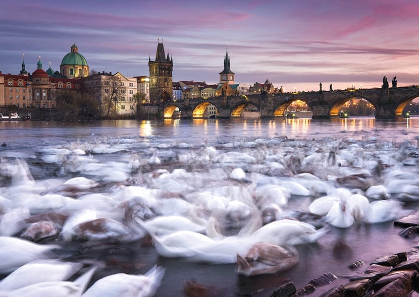 media/mkp/4967decedd9e47fe84faf573f7926eeb