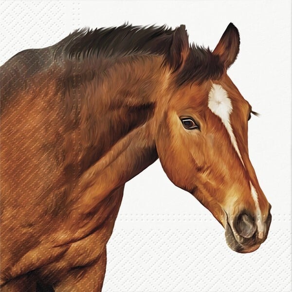 media/mkp/4a67e4296bd94b0c9c9a6375e981d4f5