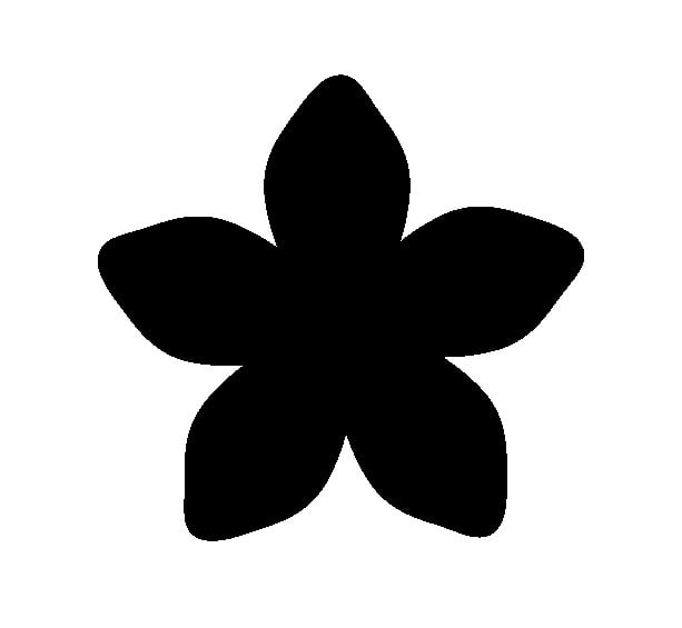 media/mkp/4f537427c4cd491c885dcf70ec50a7b1