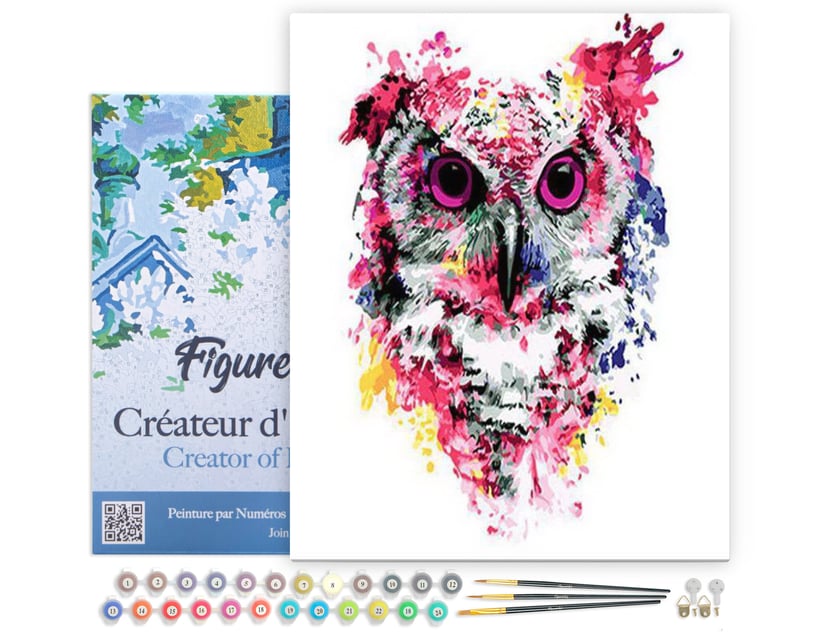 Peinture par Numéro Figured'Art avec Cadre - Chouette rose moderne - Kit de Loisir Créatif DIY Numéro d'Art - 40x50cm toile tendue sur châssis