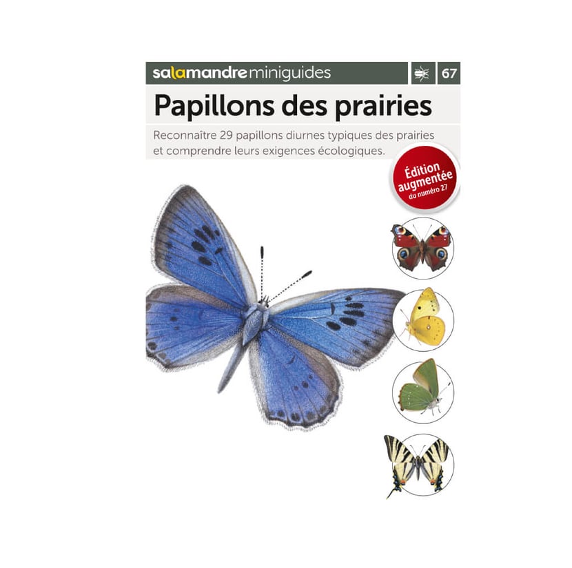 media/mkp/7a41de56ee234117b21a564193a45b71