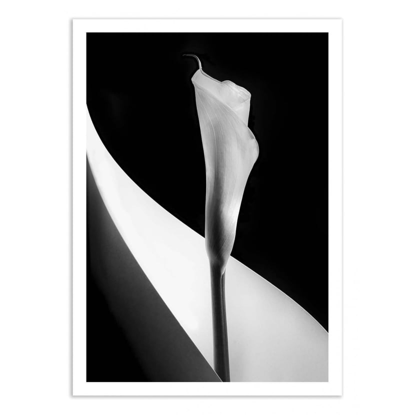 media/mkp/7d2efe3284cc4b698eeec04f670cd625