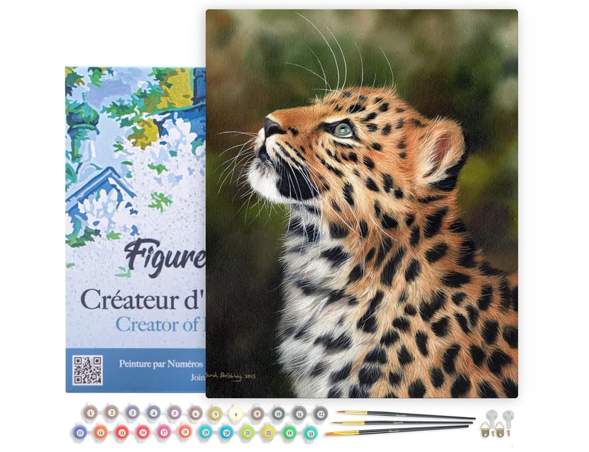 Peinture par Numéro Figured'Art avec Cadre - Leopard curieux - Kit de Loisir Créatif DIY Numéro d'Art Complet - 40x50cm toile tendue sur châssis